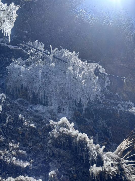 Tibetan Prayer Flag: Colors, Culture, and the Spirit of the Wind