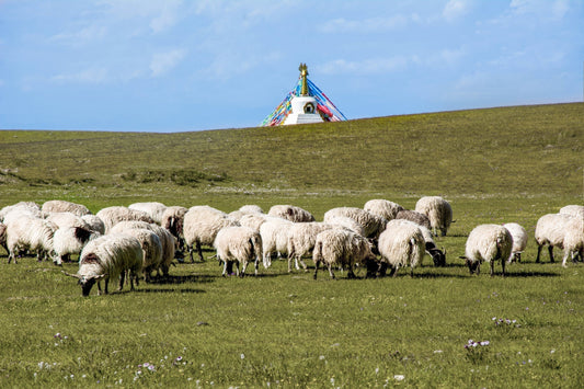 The Significance of Tibetan Buddhist Rituals