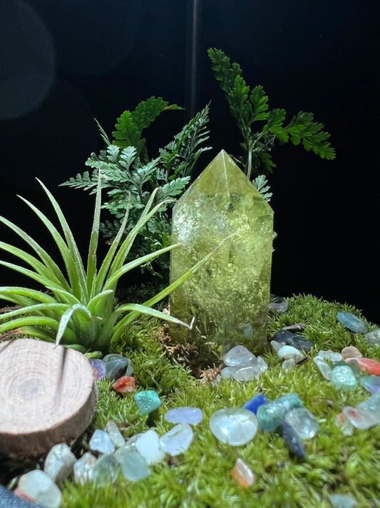 Love Crystals | Discover the Magic of Master-Blessed Stones