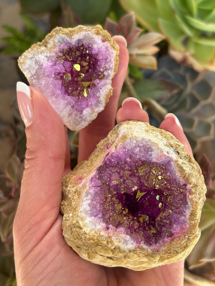 Guide to Symbolism in Flags: Meanings, Color Codes, and Sacredly Blessed Crystals