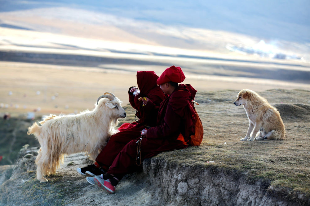 The Power of Mantras in Tibetan Buddhism