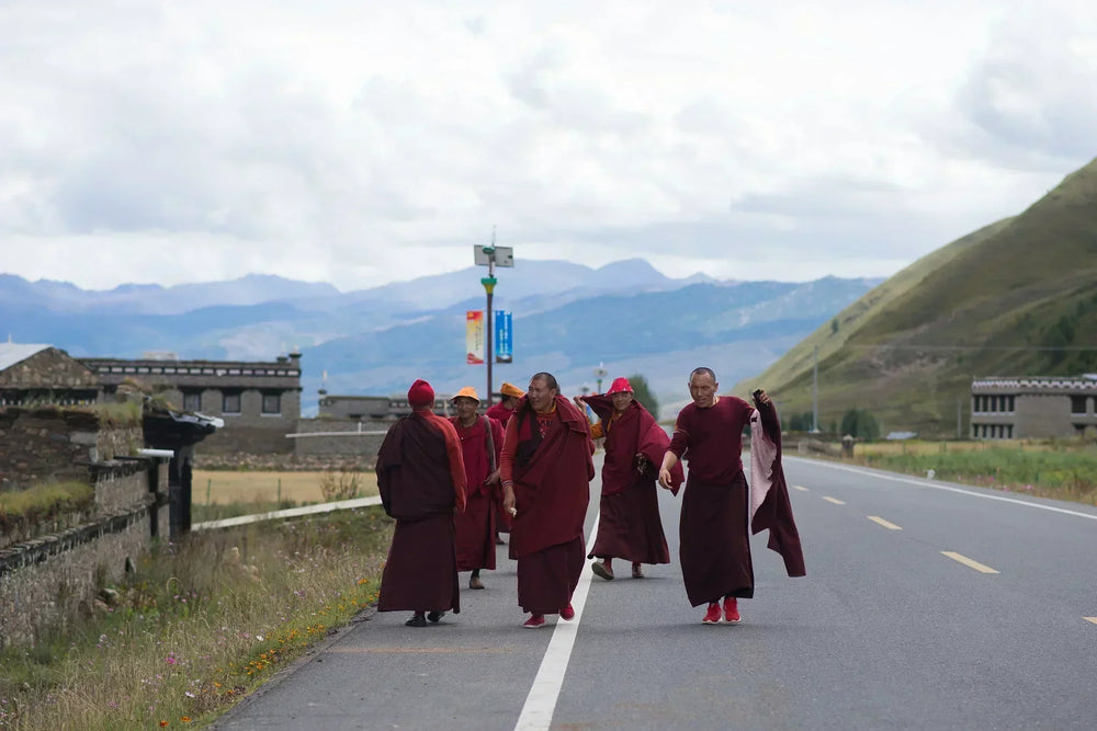 The Meaning of Blessings in Tibetan Buddhism
